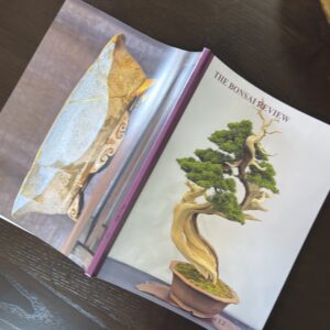 The Bonsai Review - Single Issue 1.2 (Fall 2025)