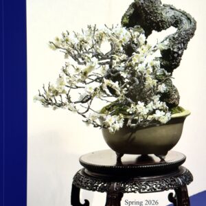 The Bonsai Review - Single Issue 2.1 (Spring 2026, Current issue) (Copy)